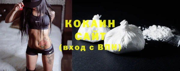 гидра Краснослободск