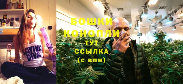 дурь Рославль