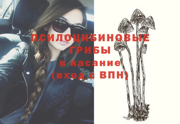 дурь Рославль