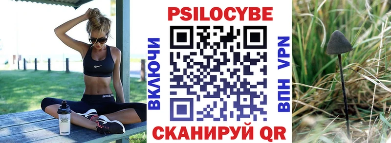 цена   Балтийск  Псилоцибиновые грибы GOLDEN TEACHER 