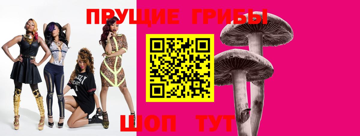 Псилоцибиновые грибы Psilocybe  Вход с VPN  Балтийск 